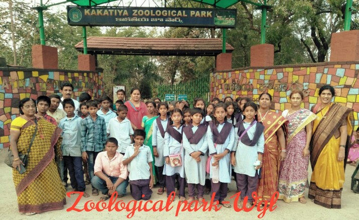 zoo park